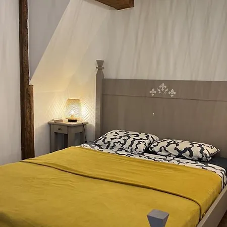 Daire Chateau Medieval Avec Piscine, Sejour Authentique Et Activites Variees - Fr-1-489-500 *
